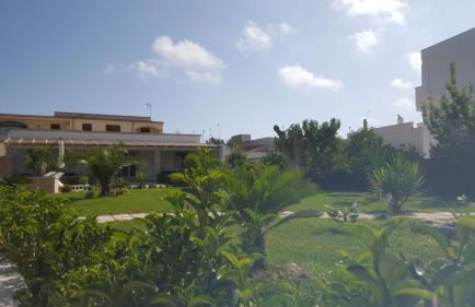 Green space - Foto 38