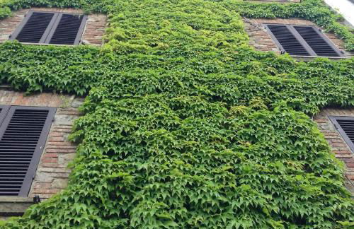 Tre Girasoli - Foto 11