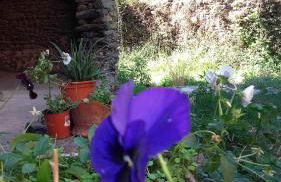 Los Balcones del Río - Foto 51