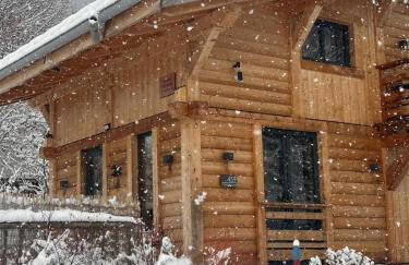 Chalet ski-in-out face au MontBlanc & Bain nordique - Foto 43