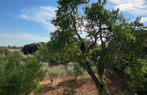 Mas Coeur Provence Calme Beauté Grand Parc - Photo 3