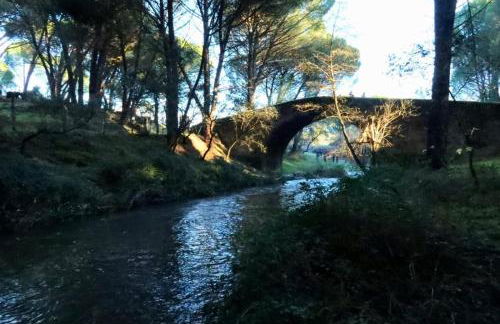 Casa Ypsilon Olive Oil - Photo 15