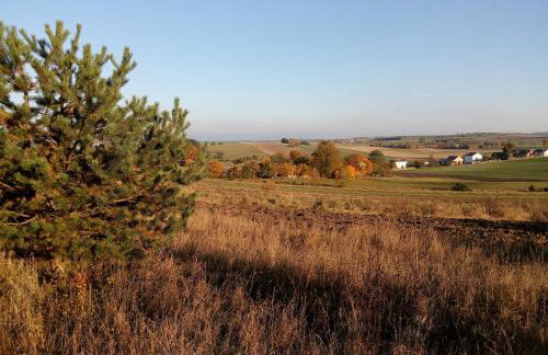 Nasza Wioska - Foto 36