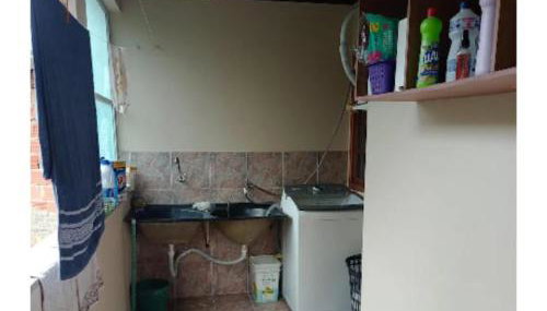 Canto dos pássaros - Foto 2