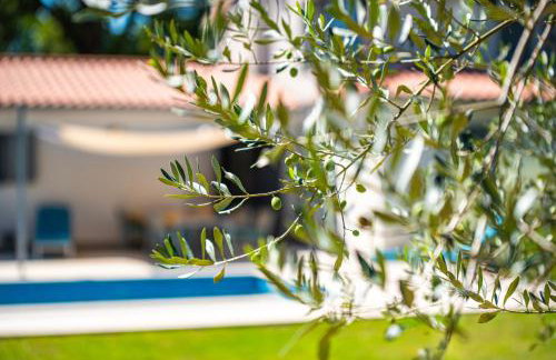 Villa Stepančić - large garden and heated pool - Foto 68