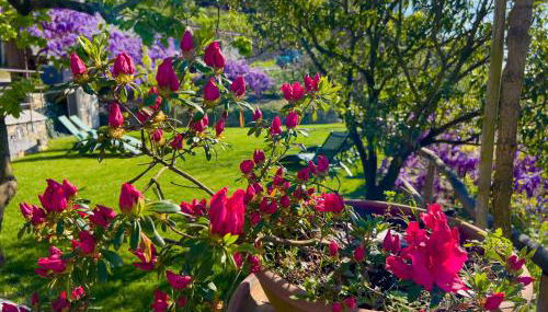 La Casa dei Glicini - Foto 3, Garden
