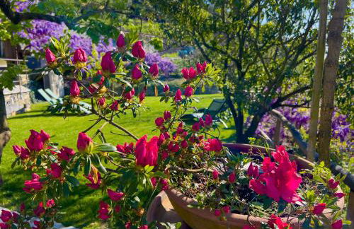 La Casa dei Glicini - Foto 3