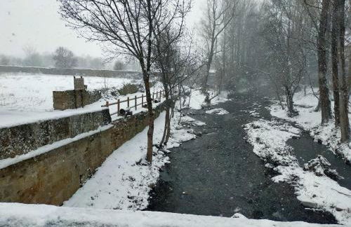 La Tahona de Almarza - Foto 24