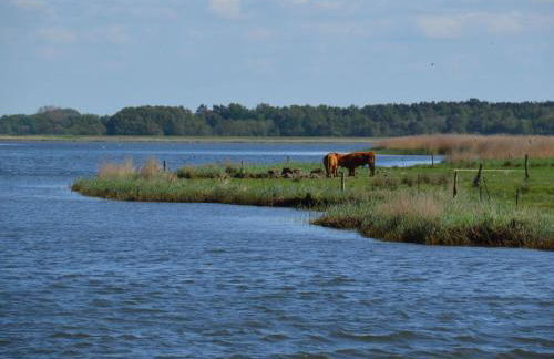Apartment Wohnung für sechs Personen im Dachgeschoss by Interhome - Foto 13