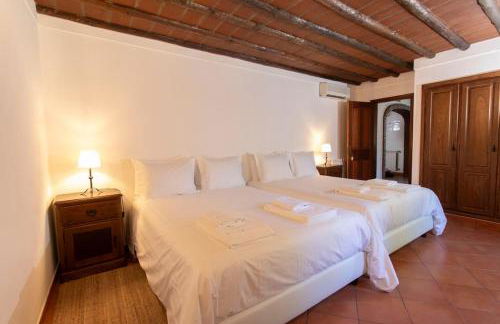 Horta dos Caracóis - Foto 48