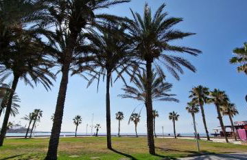 Paloma Beach Malaga - Foto 19