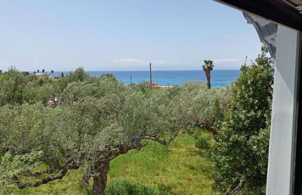 Villa Armonia - Photo 56