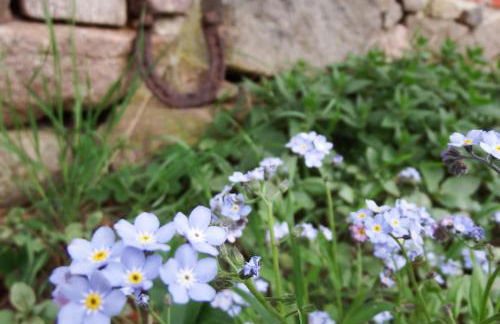 Ferienhof Rauchhaus - Foto 41