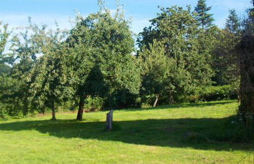 Maison charmante à Sourdeval avec jardin clôturé - Foto 10