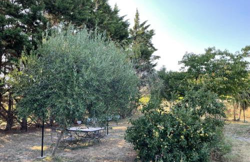 l escapade Corbières - Foto 20