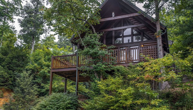 Servizio della struttura