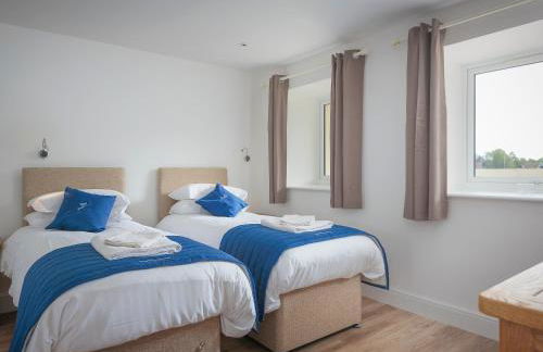 Bewick Swan - Ukc2111 - Photo 7