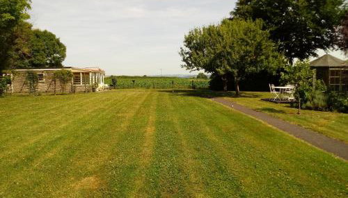The Studio - Foto 2, Garden view