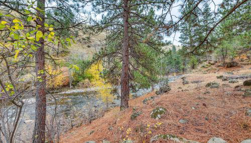 Cabin on Little Salmon River about 10 Mi to Riggins! - Foto 2