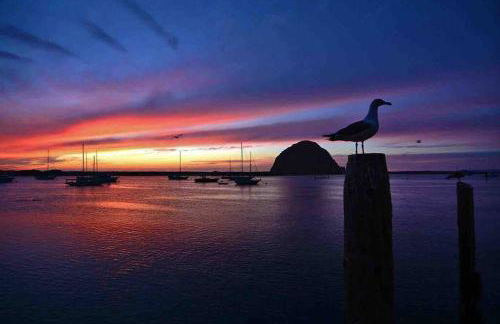 Pacific Coast Hwy Bunkhouse in San Luis Obispo - Foto 24