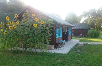 Dom na Starym Gościńcu Tiszyna - Foto 15