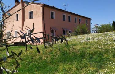 Antonella House -Podere della Collina - Foto 49