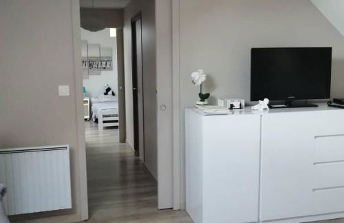 Studio & Gîte Zen de Beauval- 800 m du Zooparc - Photo 22