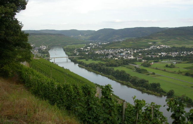 Holiday Apartment Goose in the Monument - Photo 10