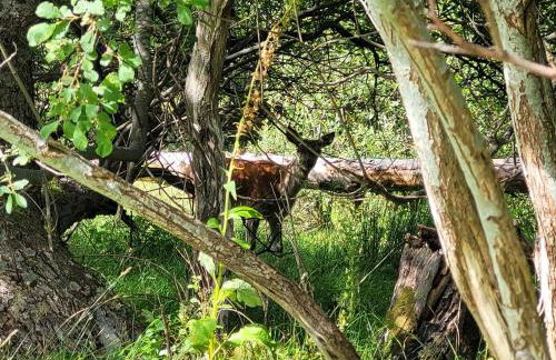 Sound of Durnamuck - Foto 130