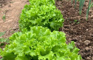 Agroturismo Urresti - Foto 61