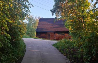 Stodoła Głębuczek - Foto 28