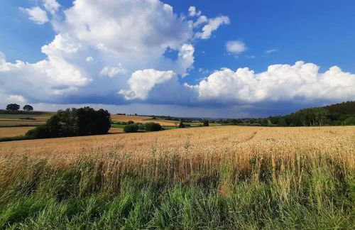 FeWo Lichtblick - Foto 55