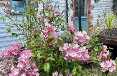 Neptunes Rest - Foto 1