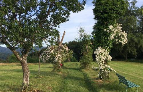 Alpenblick-Steineckhof - Foto 16