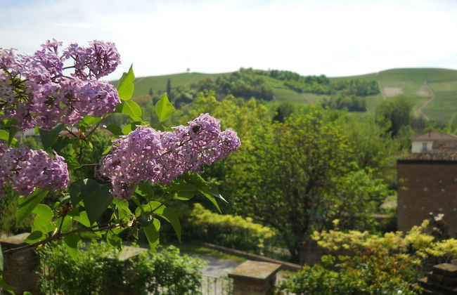 La Calabiana - Foto 5