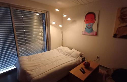 Strasbourg centre en 15 minutes - Foto 10