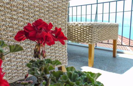 Grand View Afrodite - Photo 2