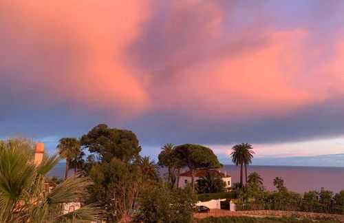 Estudio 1 en Maro con vistas al mar y balcón - Foto 8