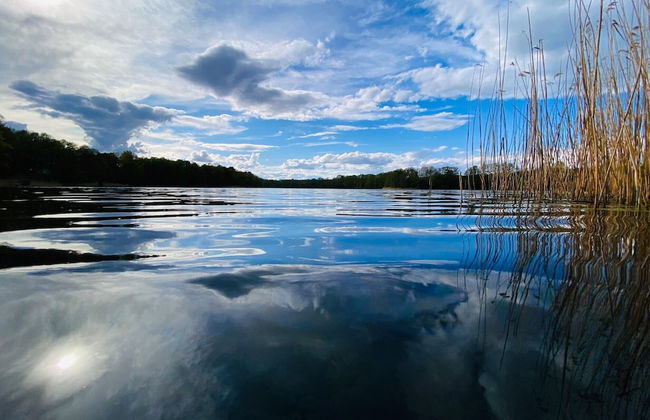 Haus Waldidyll am See 1 - Foto 1