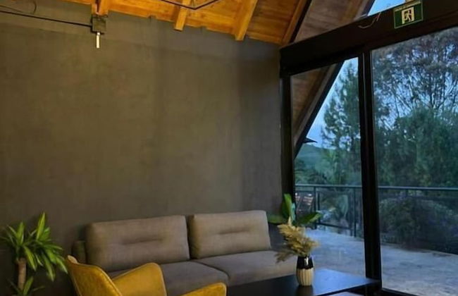 GRETEL CHALETS SUIZO - Photo 13