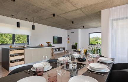 Beautiful villa Perlin with pool in Visnjan - Photo 9