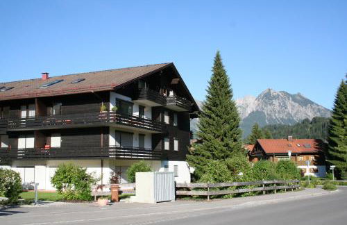 Sonnenblume - Photo 11