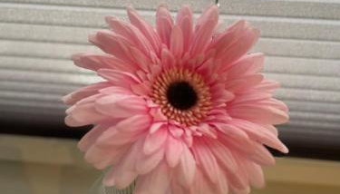 MR Ferienwohnung - Wohnung Emma - Foto 5