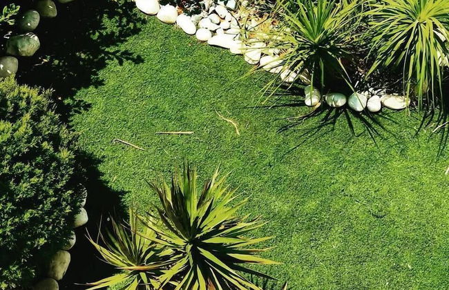 Royal Sunset Studios - Foto 18