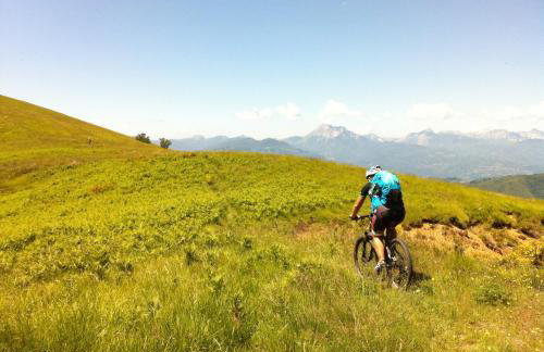 Casa Hydrangea con piscina e giardino - Foto 74