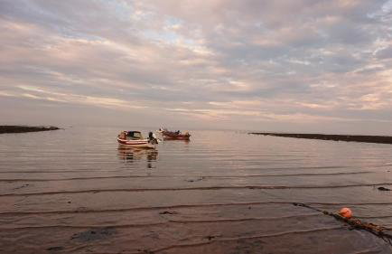 Robin Hood's Bay Coastguard's Cottage with a View - Foto 45