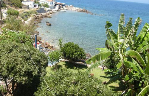 Alkioni Studios - Foto 35