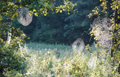 Natura Apartamenty - Foto 57