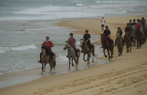 Villa landaise de charme avec piscine chauffée - Foto 17
