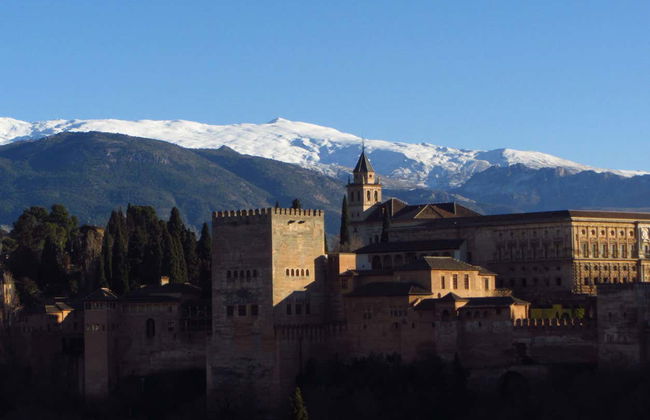 Visite privée dans Grenade. À vous de choisir ! - Photo 5